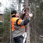 Kinkamon Pirtti
