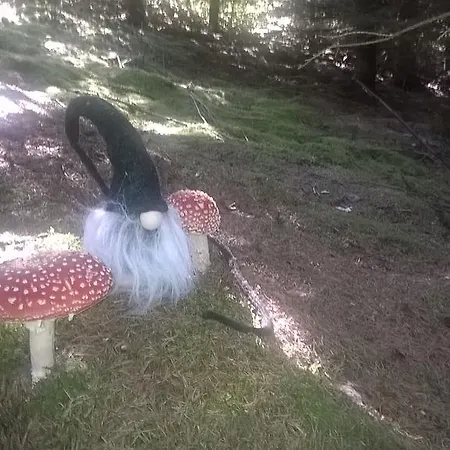 Kinkamon Pirtti Keuruu
