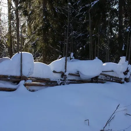 بيت ضيافة Kinkamon Pirtti كورو