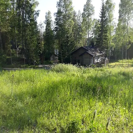 Kinkamon Pirtti Guest house *