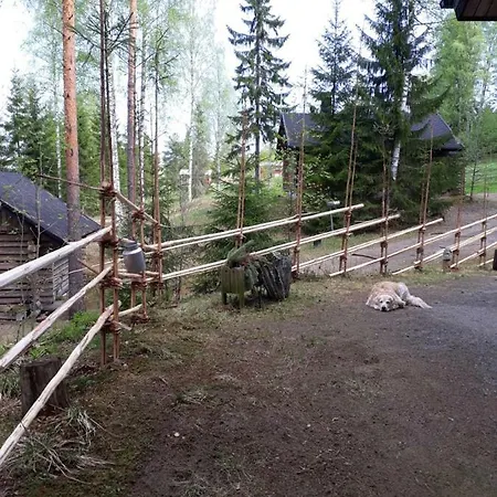 Kinkamon Pirtti 4*