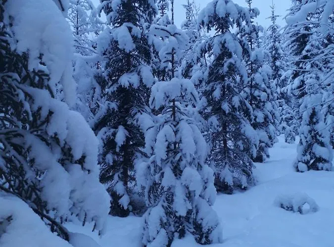 Pensión Kinkamon Pirtti