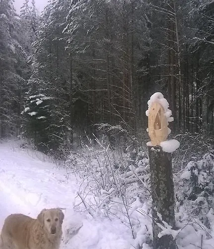 Kinkamon Pirtti كورو