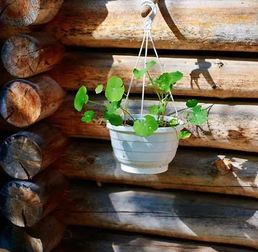 Kinkamon Pirtti بيت ضيافة 4*